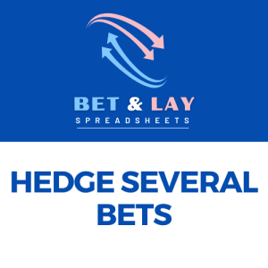 Hedge a Series of Bets or Lays on a Single Runner
